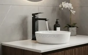 Luxury Tall Vessel Basin Faucet