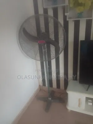 Ox Standing Fan
