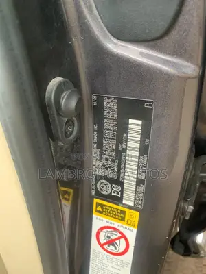 Lexus RX 2010 Gray