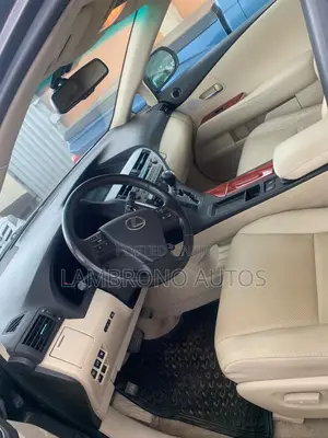 Lexus RX 2010 Gray