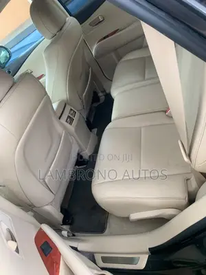Lexus RX 2010 Gray
