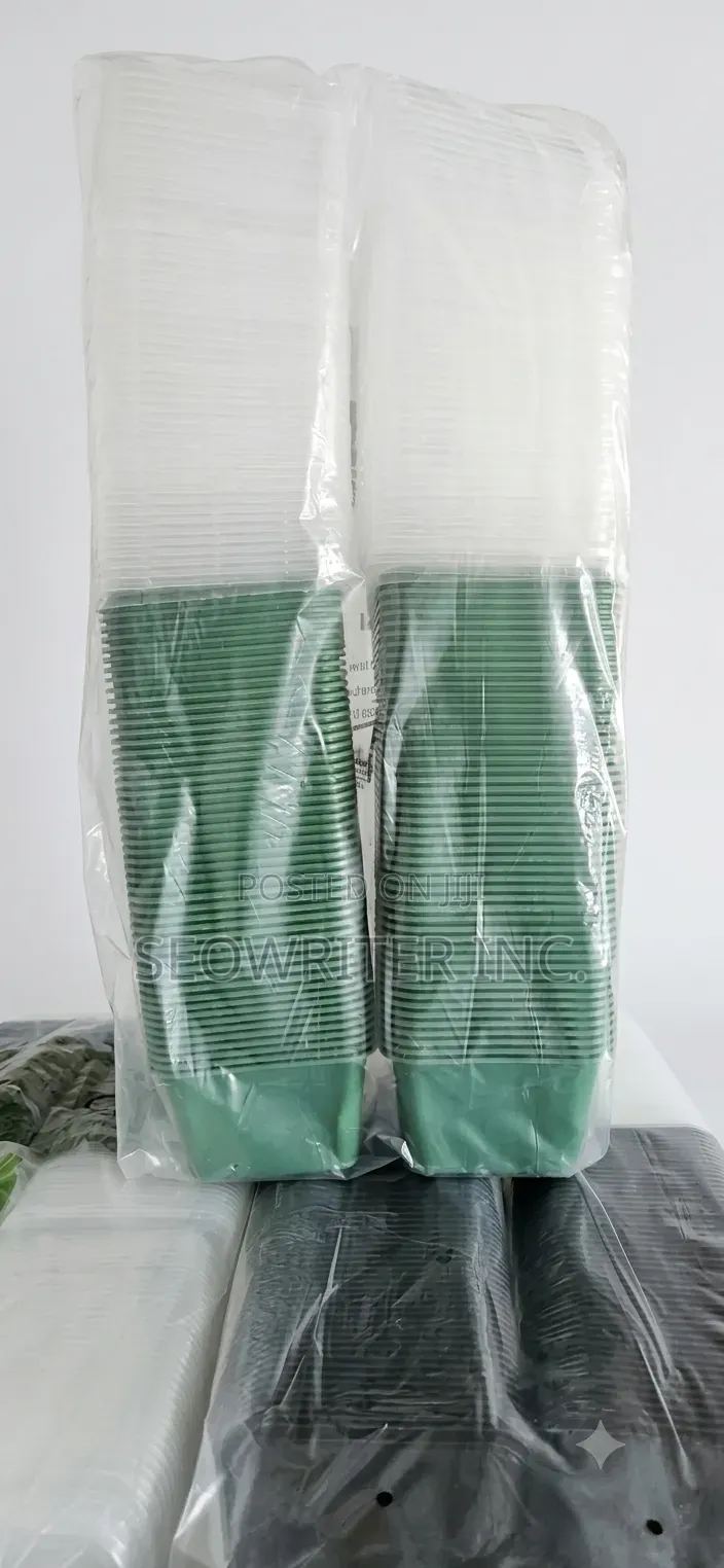 Plastic Takeaway Food Pack