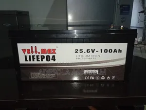 2.56kwh 24V Lithium Battery (100AH | 25.6V)