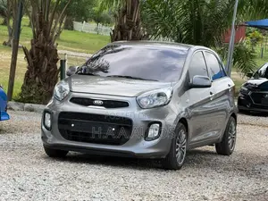 Kia Picanto 2010 Gray
