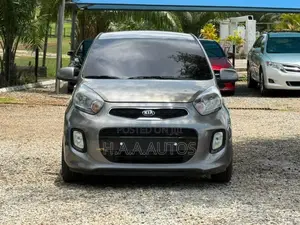 Kia Picanto 2010 Gray