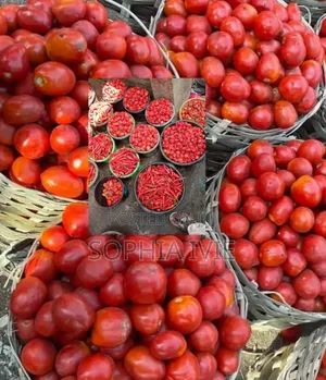 Jos Tomatoes