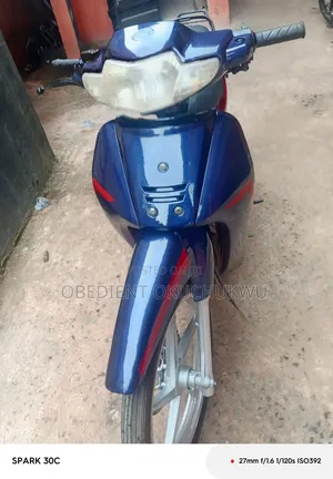 Lifan 110cc 2024 Blue