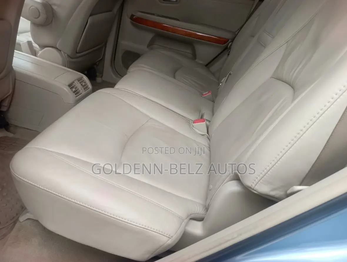 Lexus RX 2009 Blue