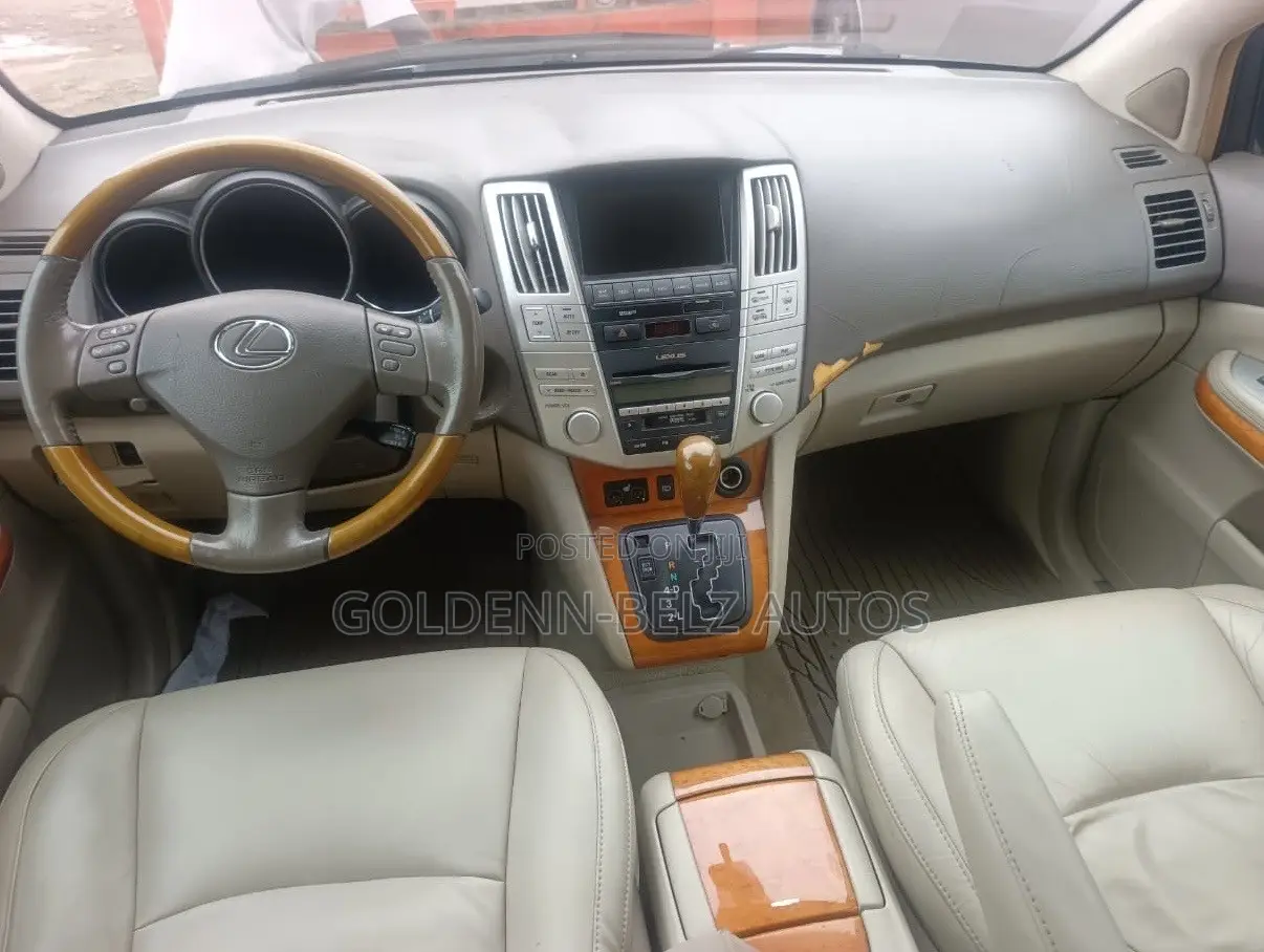 Lexus RX 2009 Blue