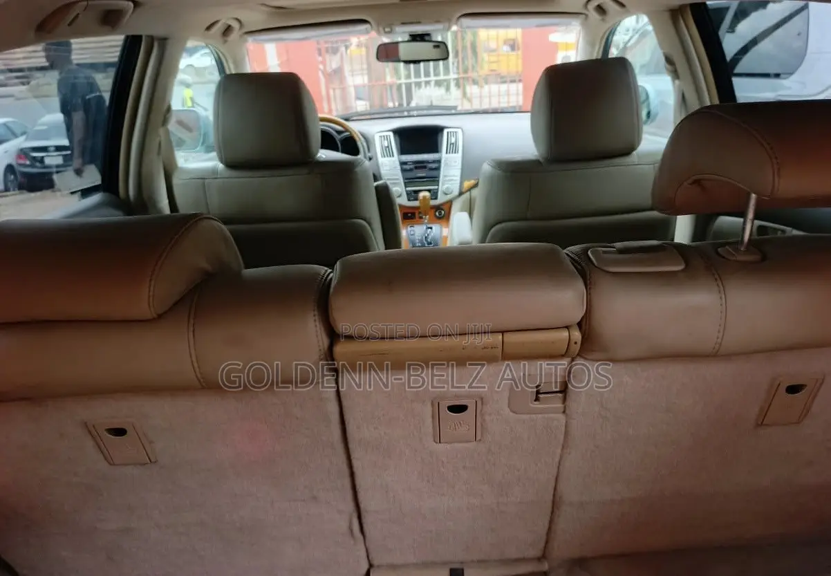 Lexus RX 2009 Blue