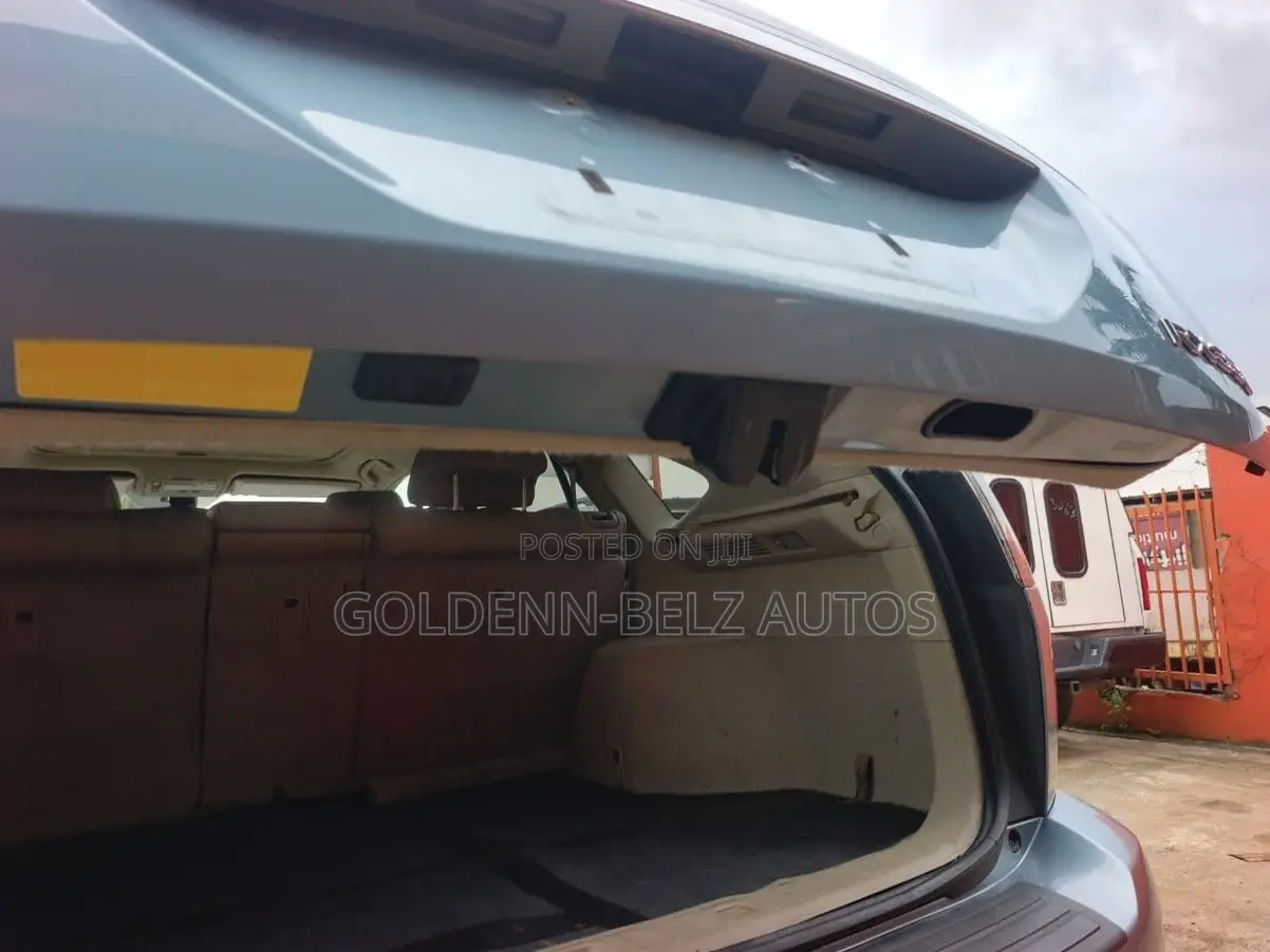 Lexus RX 2009 Blue