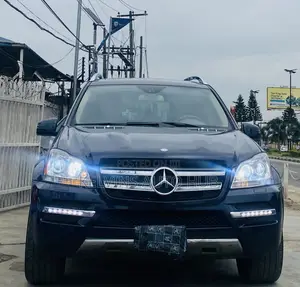 Mercedes-Benz GL-Class GL 450 2010 Blue