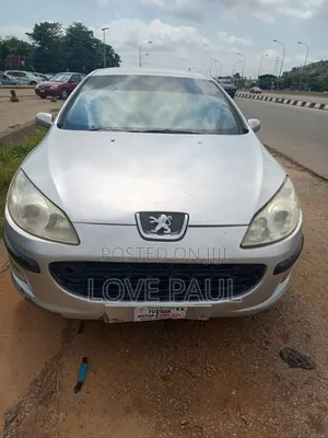 Peugeot 407 2007 Silver