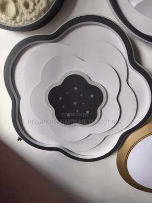 Ceiling Light
