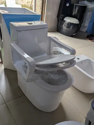 Modern Luxury Close Coupled WC