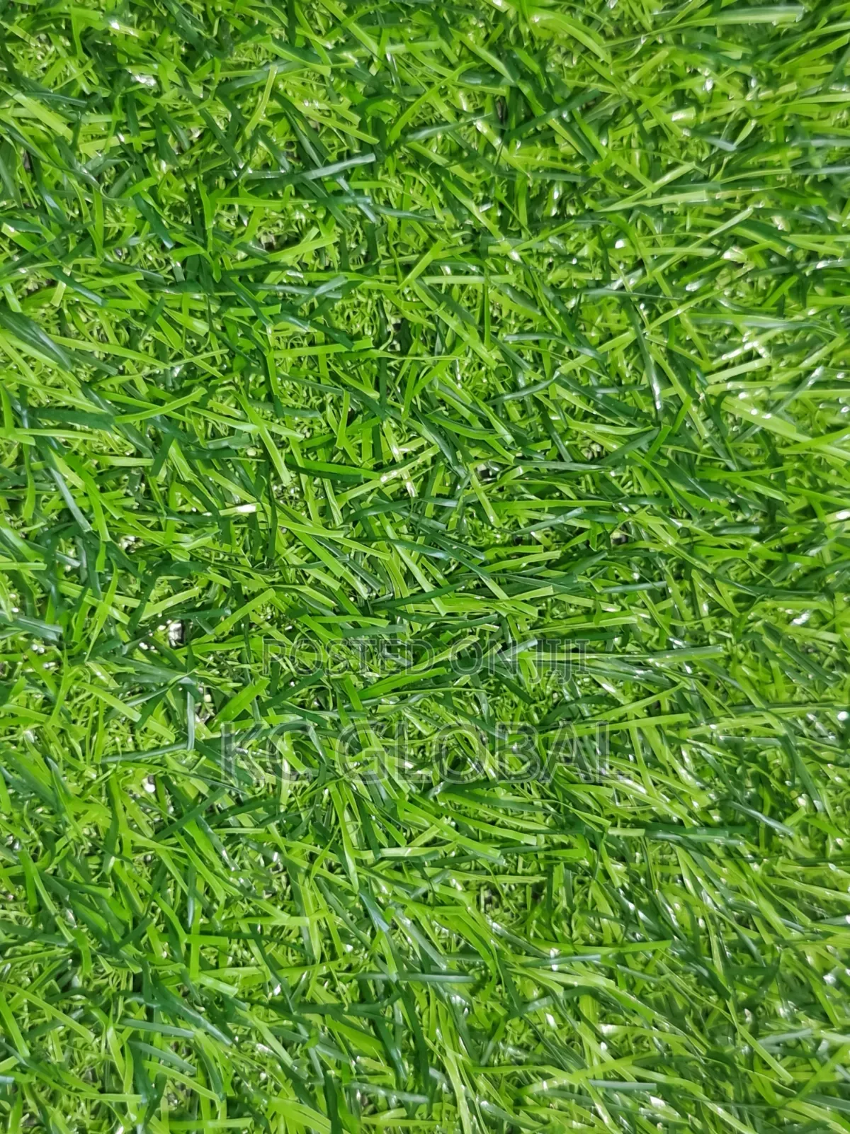 Turkey Quality Grass