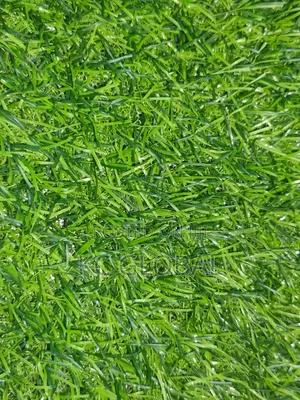 Turkey Quality Grass