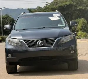 Lexus RX 2010 Gray