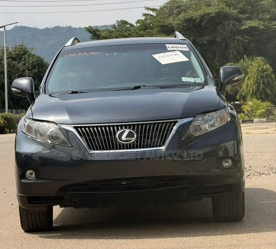 Lexus RX 2010 Gray