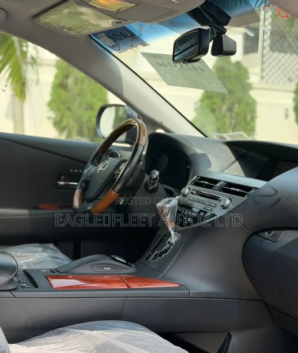 Lexus RX 2010 Gray