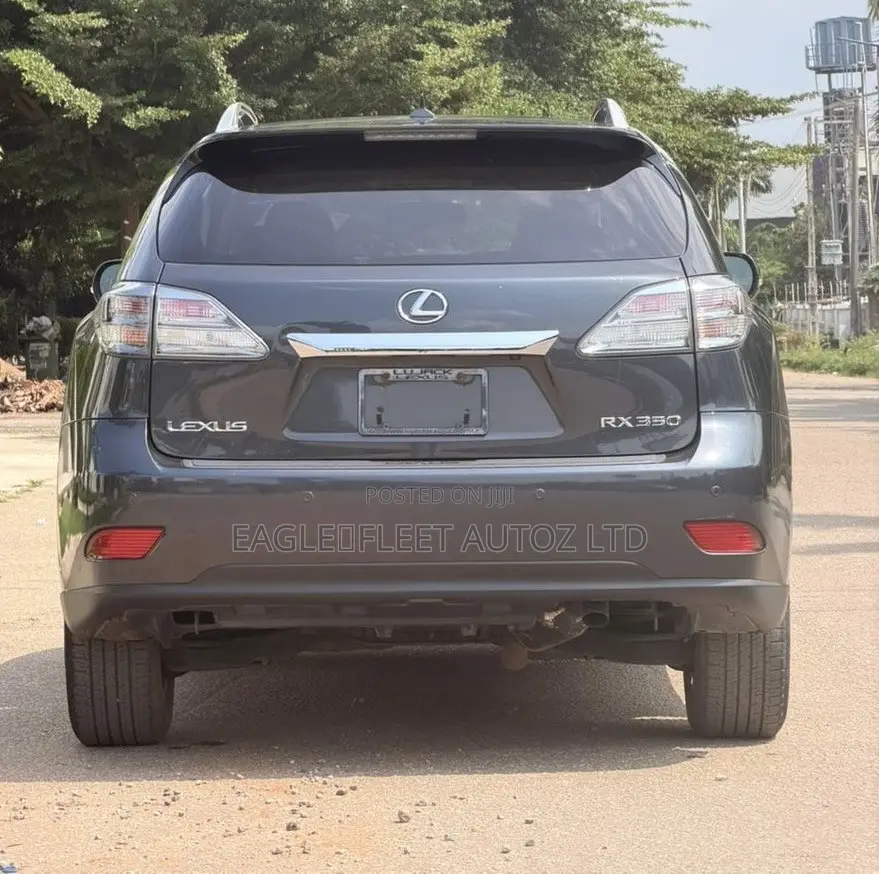 Lexus RX 2010 Gray