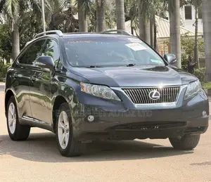 Lexus RX 2010 Gray