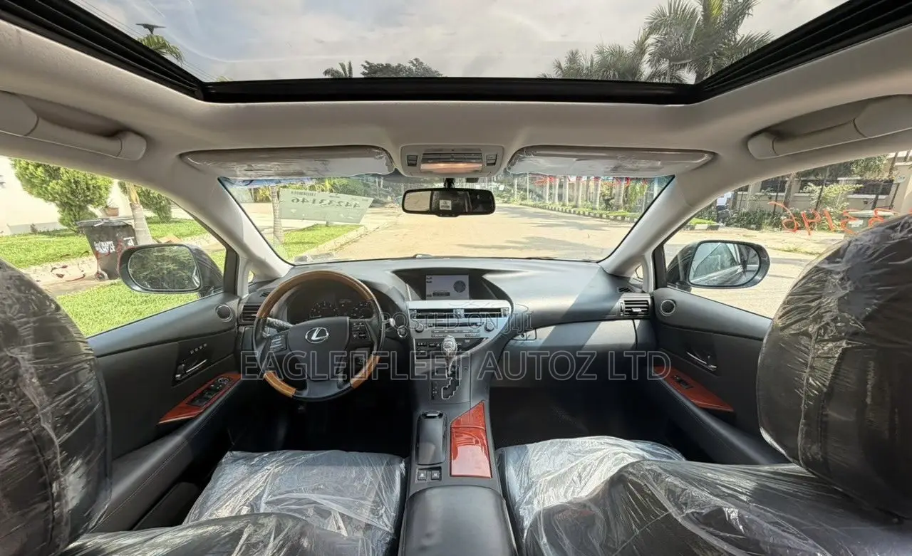Lexus RX 2010 Gray