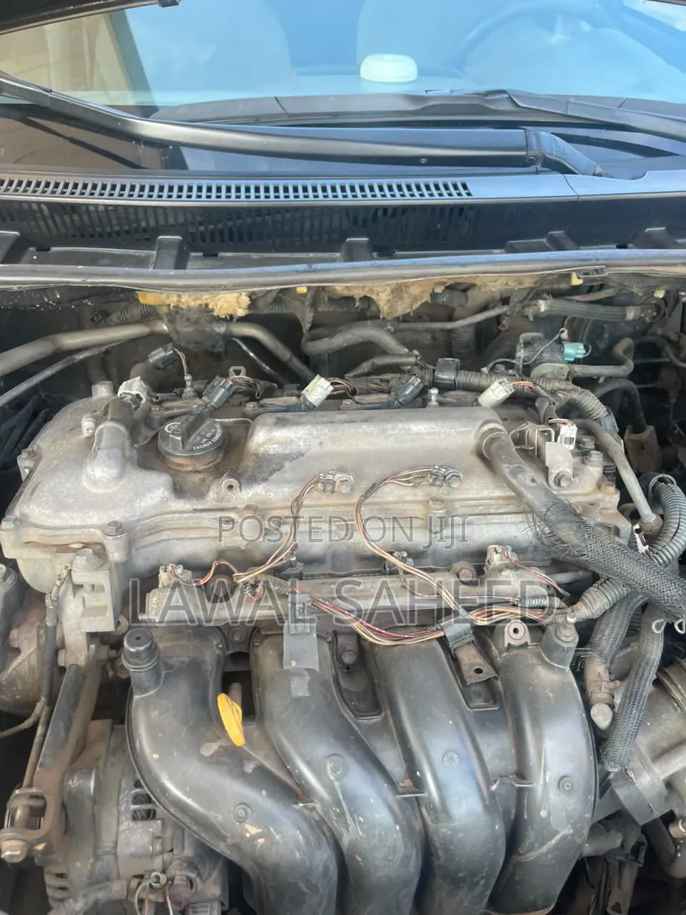 Toyota Corolla 2010 Gray