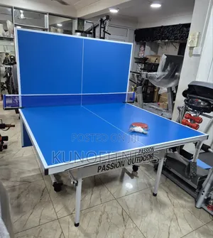 Premium Outdoor Aluminium Table Tennis Table Foldable + Net