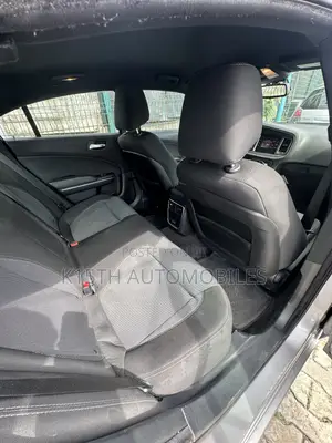 Dodge Charger SE RWD 2017 Gray