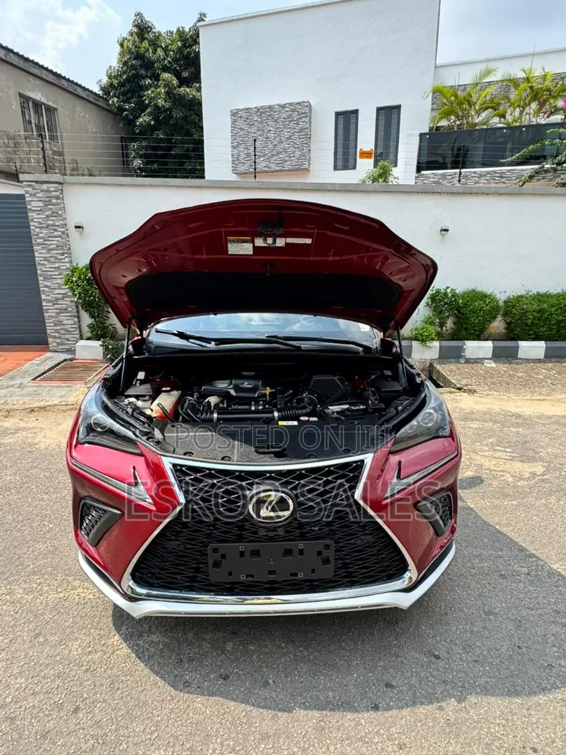 Lexus NX 2018 Red