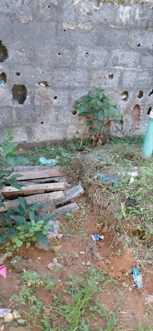 4000sqm (6.5 Plots) Off College Rd Ogba Ikeja Lagos