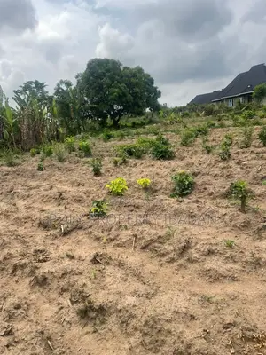 500sqm in Ologuneru