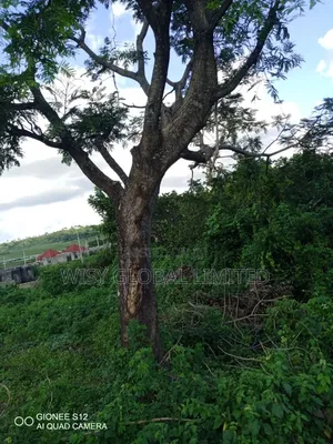 DISTRESS SALE: 1.5 Hectares of Land for Sale at Lugbe