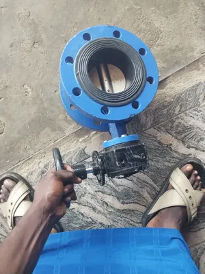 4" Gear-Operated Flanged Butterfly Valve