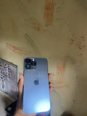 Apple iPhone 13 Pro Max 128 GB Gray
