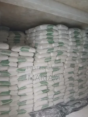 Oasis Gips Cement