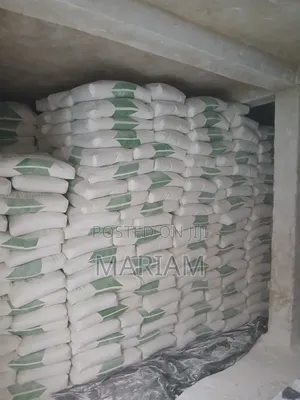 Oasis Gips Cement