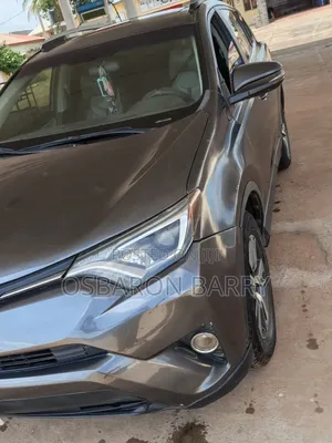 Toyota RAV4 2017 Gray