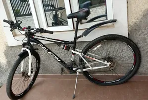 Mountain Bicycle - 29 Inch Raleigh
