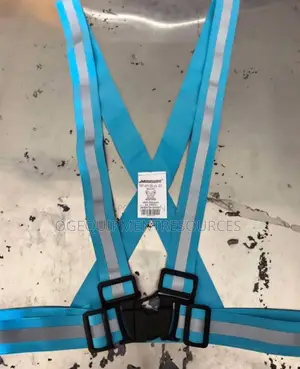 Adjustable Reflective Safety Harness.