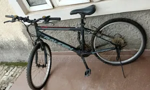 24 Inch Raleigh Mountain Bicycle