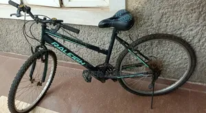 20 Inch Raleigh Mountain Bicycle