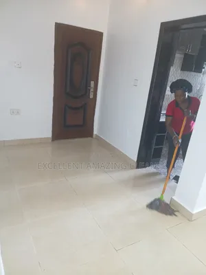 Renovation Cleaning