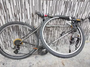 Adult and Children Bicycles