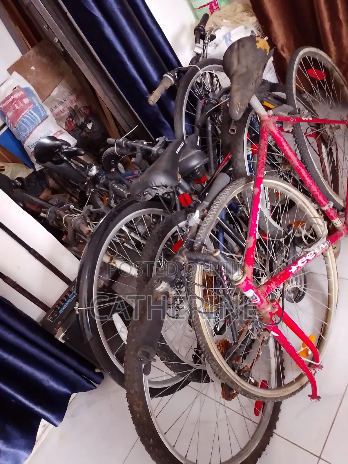 Adult and Children Bicycles