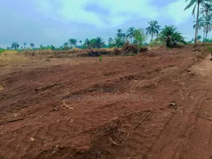 Landed Property in Ibusa Asaba Delta State for Sale