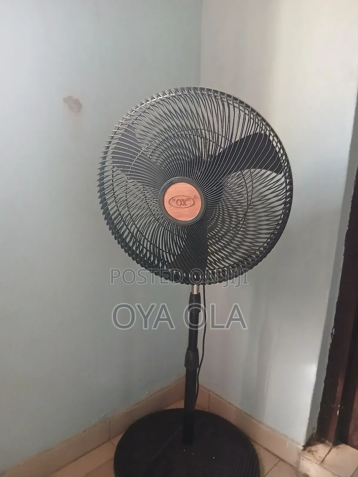 Ox Standing Fan