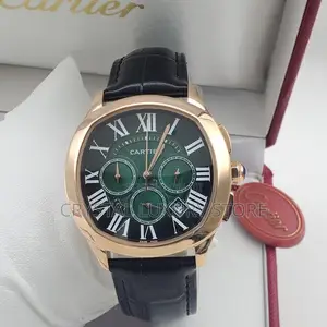 Cartier Quality Luxury Men Genuine Leather Automatic Engine Wristwatch