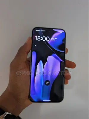 Google Pixel 9 Pro XL 256 GB Gray